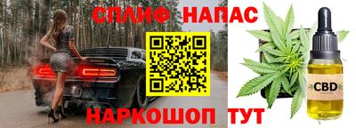 СК Гагарин