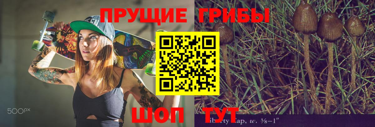 Галлюциногенные грибы прущие грибы  Галлюциногенные грибы Psilocybine cubensis  где купить наркоту  Вход с VPN  Гагарин 
